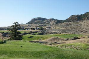 Tobiano 3rd